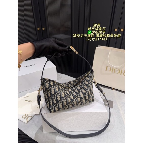 Dior Hobo (oblique)